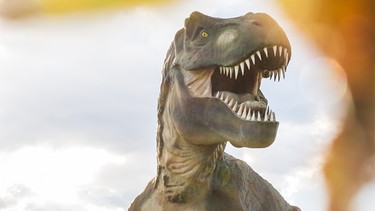Dinosaurier mit geöffnetem Maul und spitzen Zähnen. | Bild: colourbox.com